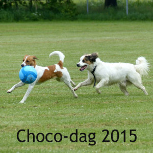 Choco-Dag 2015